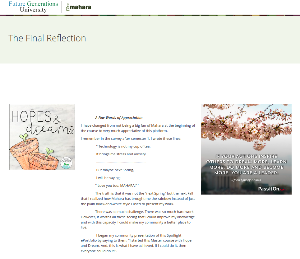 Screenshot of the reflections page